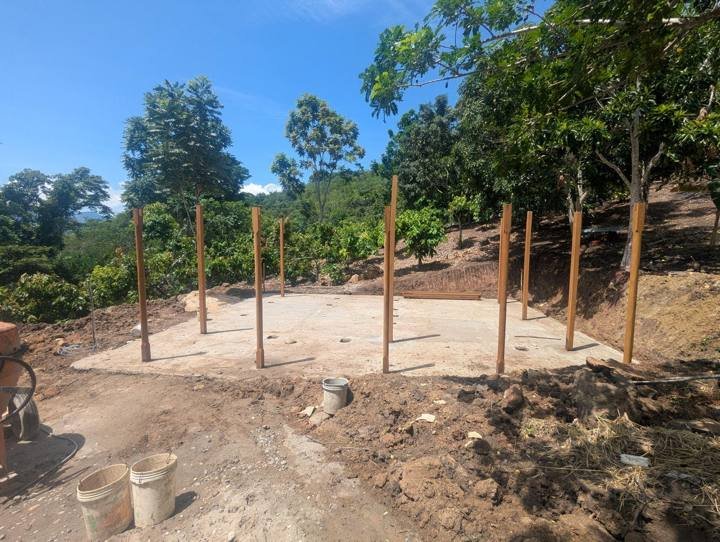 La losa de concreto vaciada y los primeros postes de madera en pie.