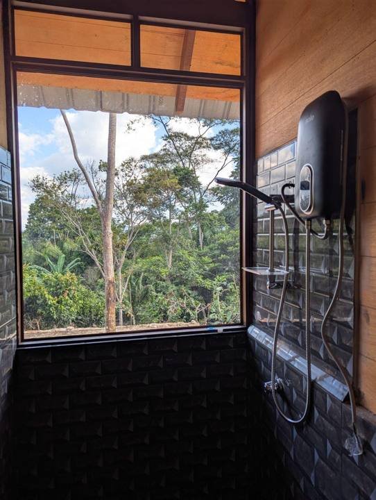 La ducha, con una ventana hacia los árboles.