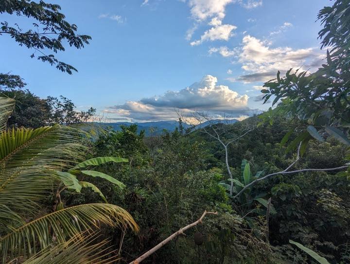The view from my land toward the hills.