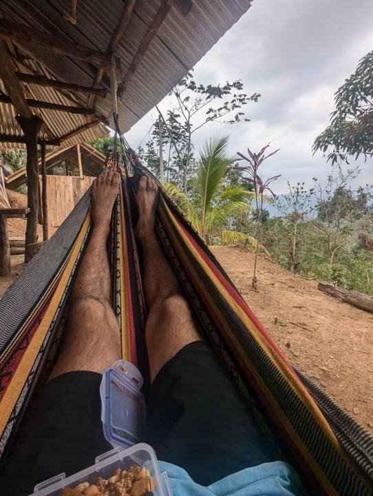 The best seat on the property.