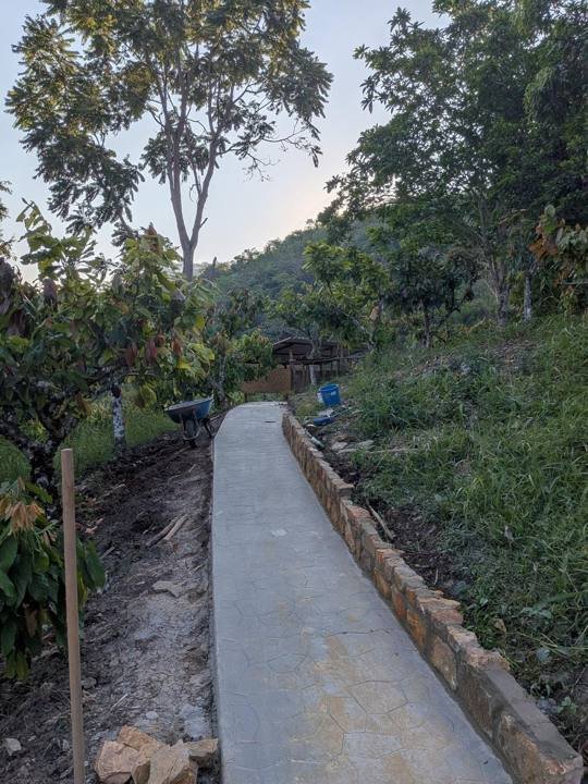 The concrete walkway down to the chicken coop.