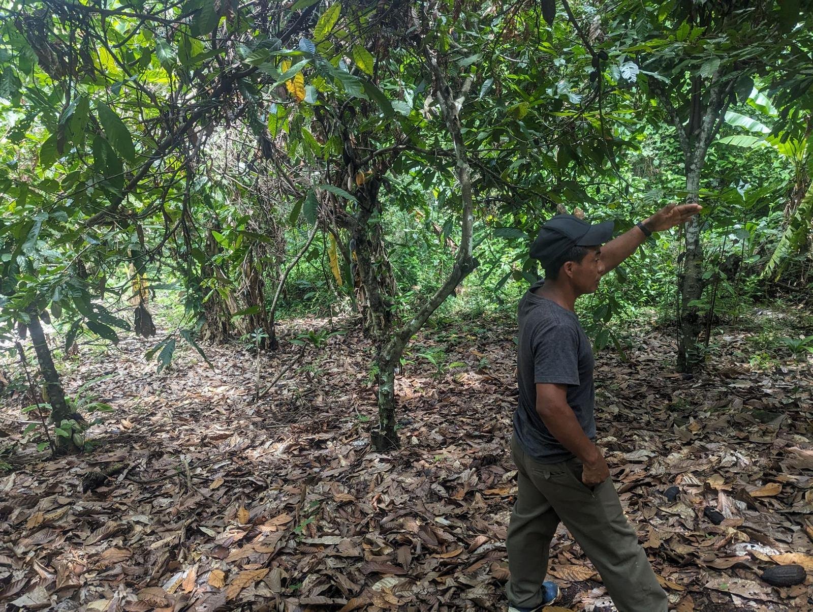 Recorriendo los linderos de una propiedad